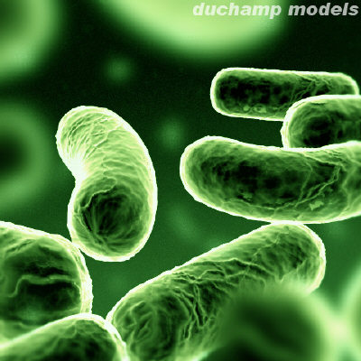 http://elmiqueblog.files.wordpress.com/2010/08/bacterias-verdes-luminosas-internet1.jpg